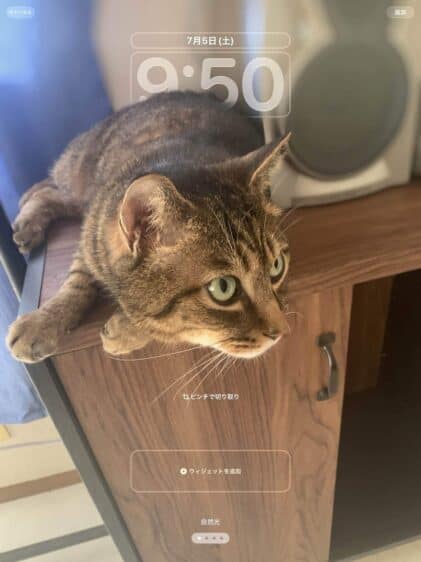 iOS26、iPad OS26を試してみたハチワレアプリ